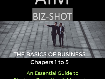 The Basics of Business - A 5 Part Business Course  ON SALE.  DISCOUNTED on Sale