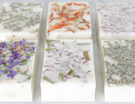 Beginners Soap Making Course - Notes Only Online Sale