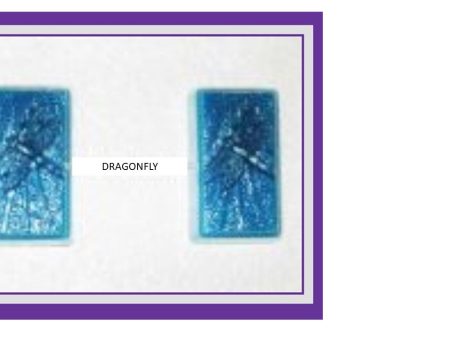 Soap Mould   PVC  Dragon Fly Supply