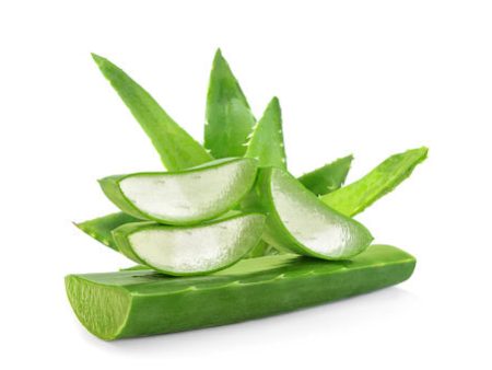 Fragrance Aloe Vera 500 mls Discount