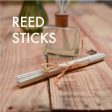 Diffuser Reeds - White Fibre Reed Sticks For Discount