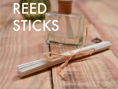 Diffuser Reeds - White Fibre Reed Sticks For Discount