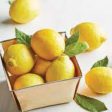 Fragrance Bulk Lemon CLA 1 litre on Sale