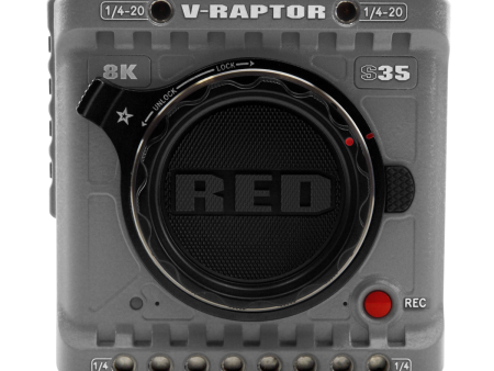 RED V-RAPTOR RHINO 8K S35 For Cheap