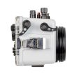 Ikelite 200DLM D Underwater Housing for Canon EOS R8 Online