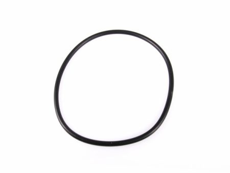 Ikelite DS-200 & SS-200 Battery Door O-Ring For Discount