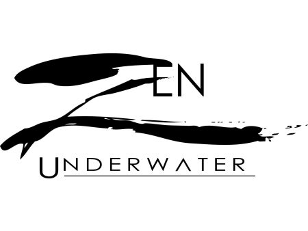 Zen Underwater Microfiber Cleaning Cloth Online Sale